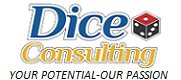 Dice Consulting HR institute in Hyderabad