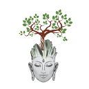 TAC Yoga Classes Yoga Training Institutes institute in Faridabad