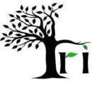 Triumph Hub Training and Placement Institute photo