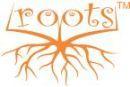 Roots Abacus Learning School Abacus institute in Delhi