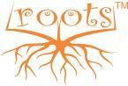 Roots Abacus Learning School Abacus institute in Delhi