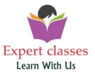 Expert classes Class 11 Tuition institute in Gurgaon