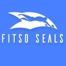 Fitso - Premium Swimming Classes photo