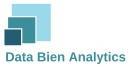 Data Bien Analytics photo
