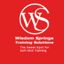 Wisdom Springs Training Solutions photo