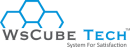 Ws CubeTech photo