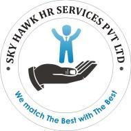 Sky Hawk HR Services Private Limited HR institute in Rajpura