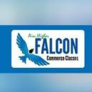 Falcon Classes BCom Tuition institute in Mumbai