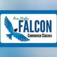 Falcon Classes BCom Tuition institute in Mumbai