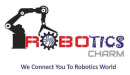 Robotics Charm photo