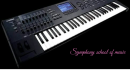 Symphony School Of Music Keyboard (Music) institute in Thrissur