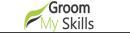 Groom My Skills Pvt Ltd MS Office Software Training institute in Jaipur