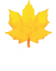 Prompt Infotech photo