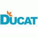 Photo of Ducat