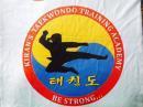 Kiran' Taekwondo Training Academy photo