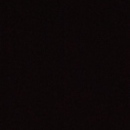 Dipabali Sengupta photo