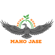 Maho Jase Institute of Technology DevOps institute in Chennai