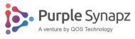 Purple Synapz Cyber Security institute in Bangalore