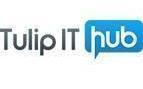 Tulip IT HUB Salesforce Lightning Experience institute in Lucknow