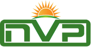 Nvp Success Classes Class 6 Tuition institute in Mumbai