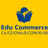 Edu Commerce Class 11 Tuition institute in Noida