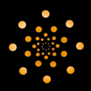 Nirvaanalife's Institute photo