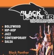 Black Panther the Dancer Club Dance institute in Jaipur