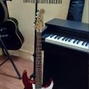 Saraswati Institute of Music photo