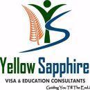 Yellow Sapphire Visa & Education Consultants photo