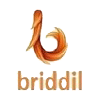 Photo of Briddil Softwares Private Ltd