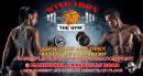 Wild Iron The Gym photo