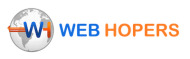 Webhopers Infotech Pvt Ltd Digital Marketing institute in Chandigarh