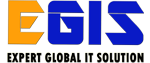 Expert Global IT Solution Digital Marketing institute in Noida