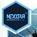 Nexora Academy photo