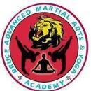 Bruce Advanced Martial Arts Shaolinkungfu and Sillambam Association Telangana photo