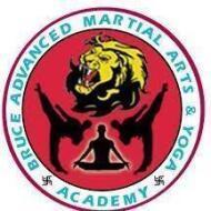 Bruce Advanced Martial Arts Shaolinkungfu and Sillambam Association Telangana Self Defence institute in Hanamkonda