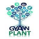 Photo of Gyaan Plant