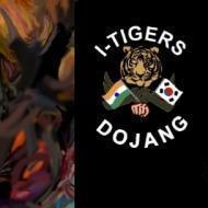 I TIGERS DOJANG Self Defence institute in Bangalore