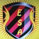 Elite Sporting Academy photo