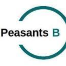 Peasants B Class 9 Tuition institute in Ludhiana