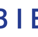 Bie Institute Computer institute in Delhi