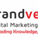 BrandVeda picture