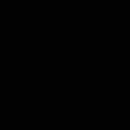 Photo of Rishab Singh