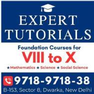 Expert Tutorials Class 10 institute in Delhi