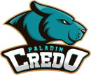 Paladin Credo Kickboxing institute in Bangalore