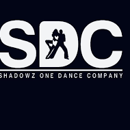 Shadows one dance n fitness company Dance institute in Bangalore