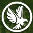 Falcons Academy photo