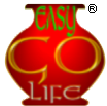 Easygolife Web Development institute in Mumbai