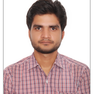 Nitesh R. Class 6 Tuition trainer in Gurgaon