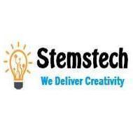 Stemstech Website Scripting institute in Meerut